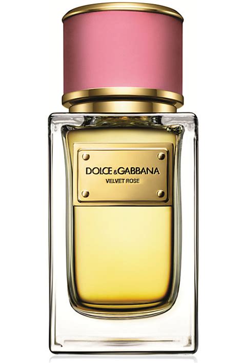 buy dolce and gabbana perfume online|dolce and gabbana perfume website.